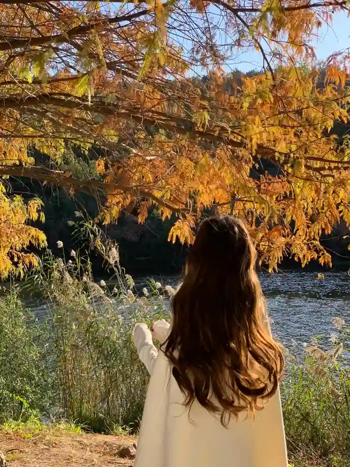 光头强游戏界面截图